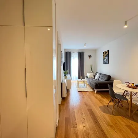 Апартаменты Argentum Point 1br Подгорица